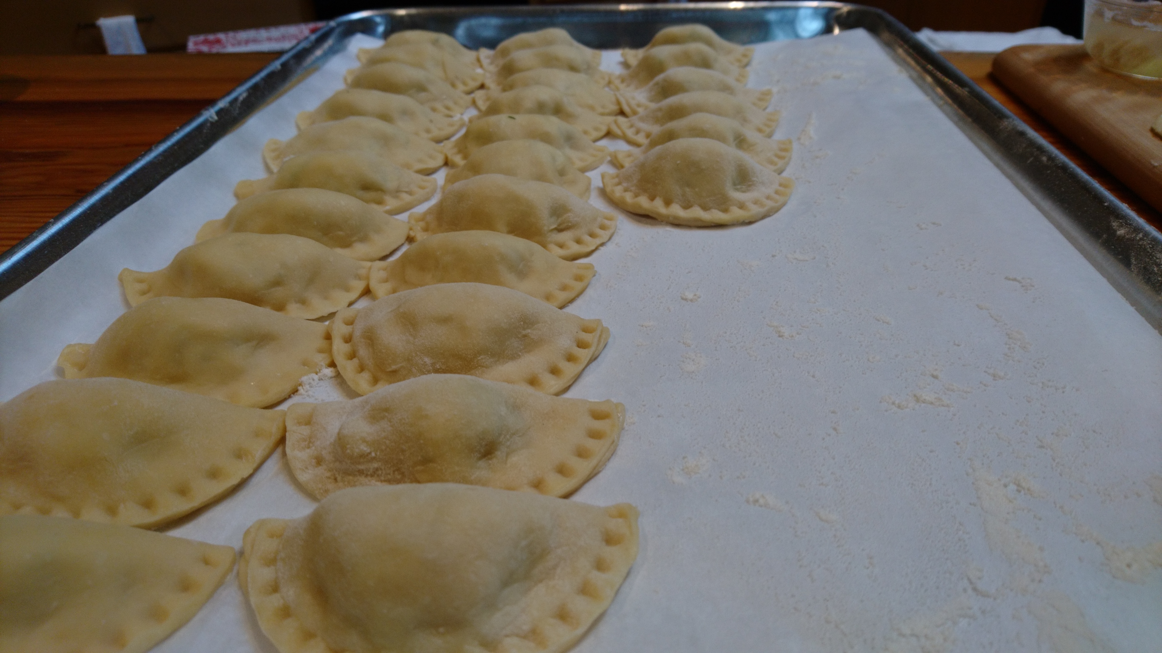 dumplings lined up