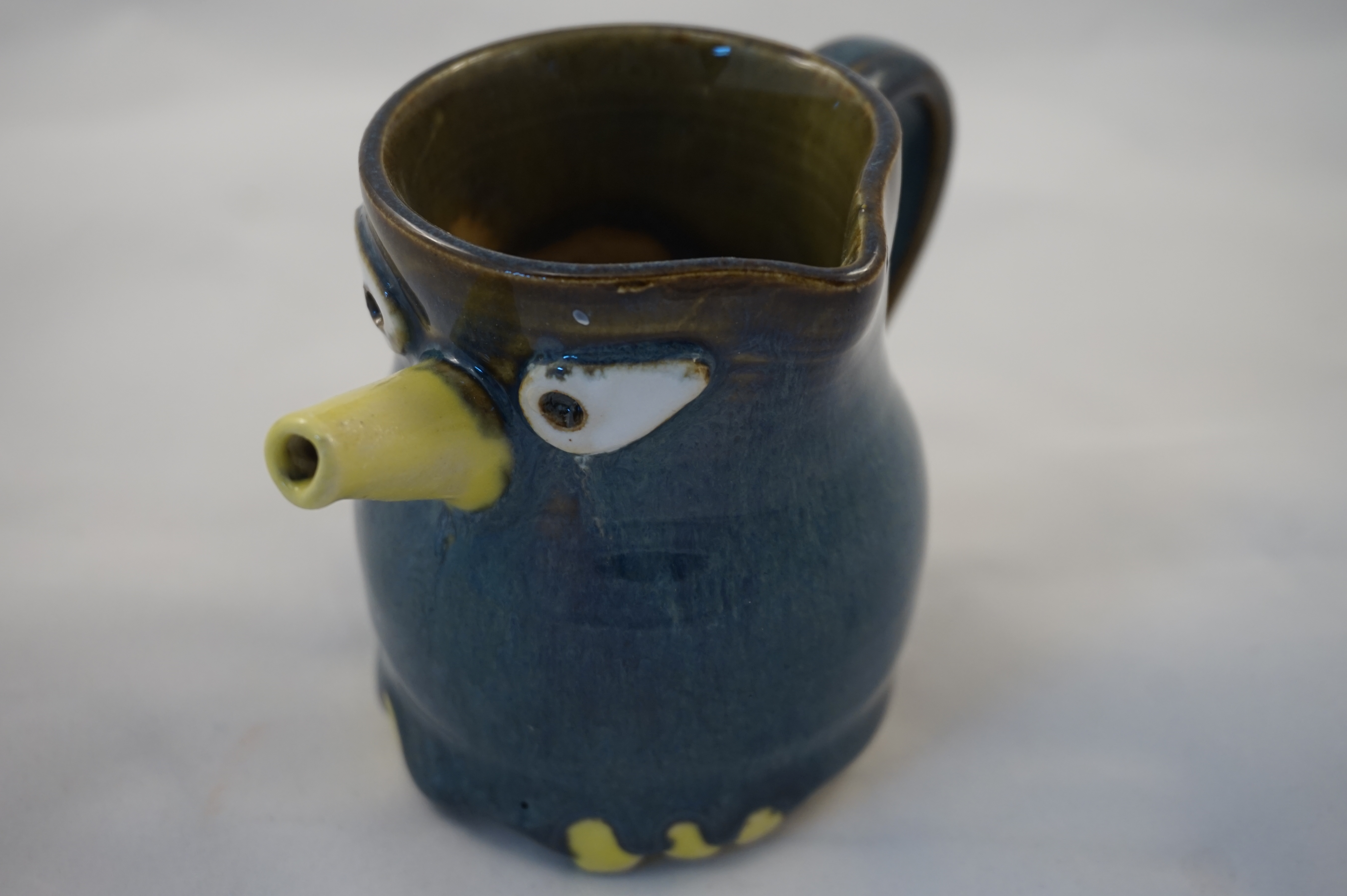 picture of blue syrup bird